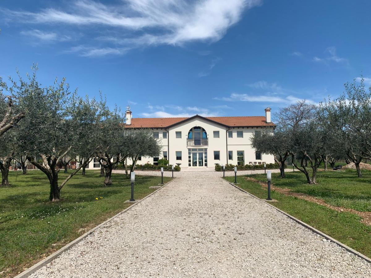 Agriturismo Zappare Farm Hotel Trevignano Экстерьер фото